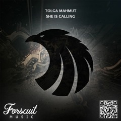 Tolga Mahmut - She Is Calling (Original Mix)