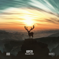 Kayzo - Follow You (Tyres Remix) | NLTV PREMIERE