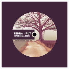 Tebra - Put (Original Mix) - Free Download