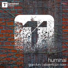 Silvermoon Rider (Original Mix)