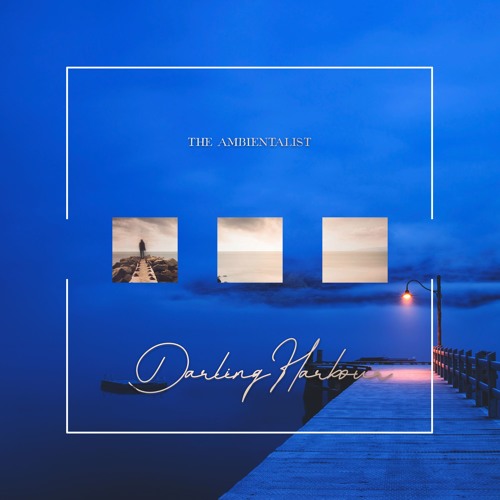 The Ambientalist - Darling Harbour