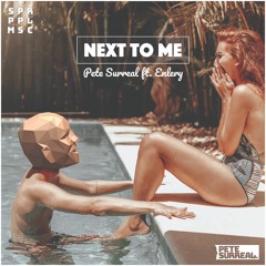 Pete Surreal - Next To Me feat. Enlery