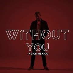 Without You (REWIND Remix)