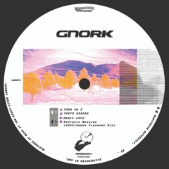 MAGIC014 - Gnork "Magic Arp"