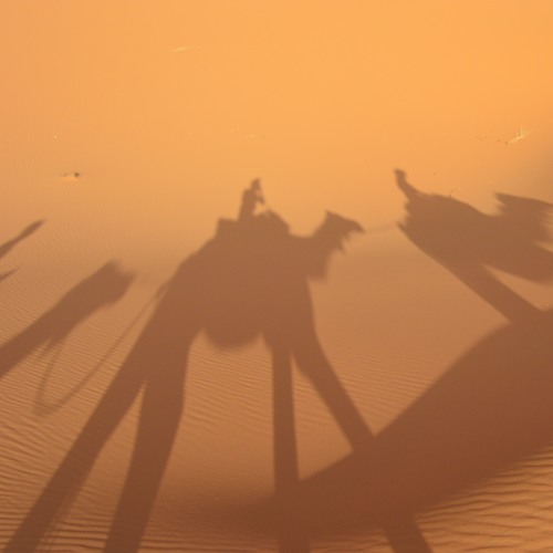 Dune Memories