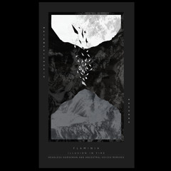 First Listen: Flaminia - 'The Illusion Of Matter' (Ancestral Voices remix)