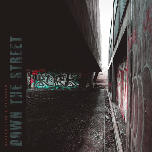 Random Flow & Paragram - Down The Street
