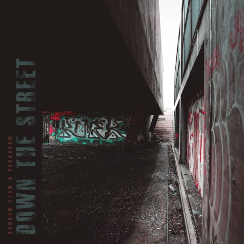 Random Flow & Paragram - Shady Network