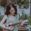 Download Lena Lena// Em đéo biết nữa anh ơi - 7UPPERCUTS Lena Lena// Em đéo biết nữa anh ơi - 7UPPERCUTS