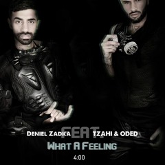 Daniel Zadka Feat. Tzahi & Oded - What A Feeling