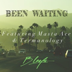 Been Waiting (feat. Masta Ace & Termanology)