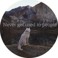 Never get used to people - intonation