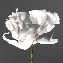 delicate onions ft. Eugene Kogan+friends