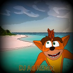 CRASH BANDICOOT - WARPED (DJ AG REMIX) FREE DOWNLOAD