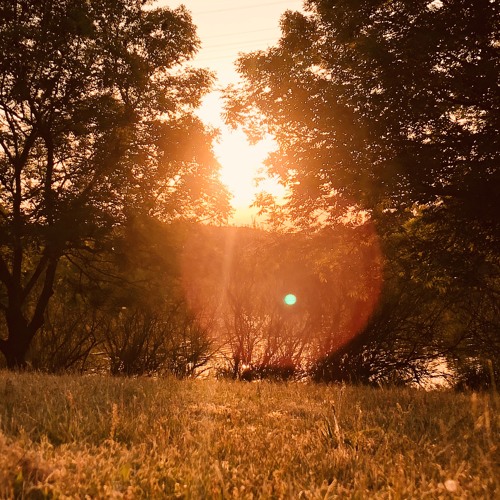 Guzy | Rebirth Of Spring XXI