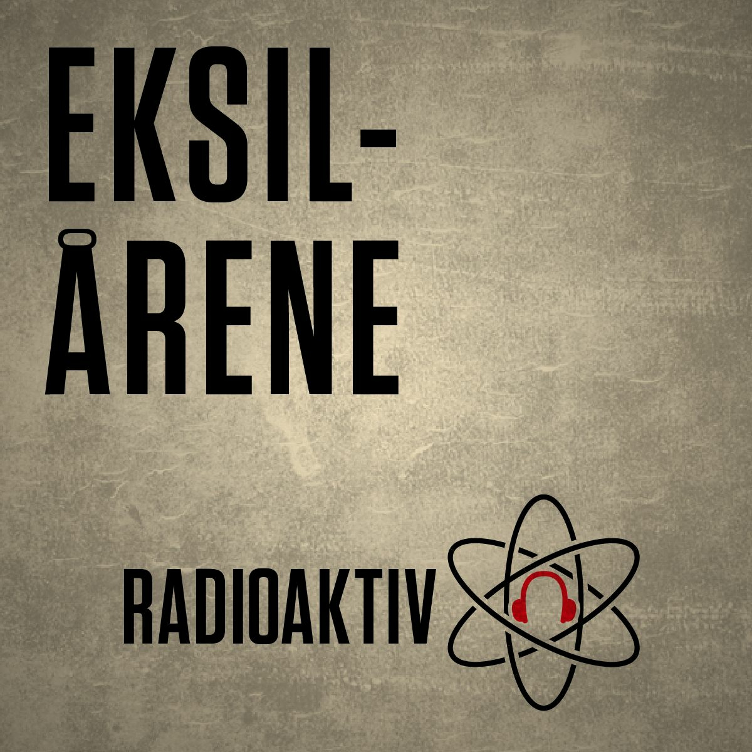 Eksilårene #3 - Idealister af Hans Scherfig episode artwork