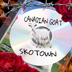 Canadian Goat