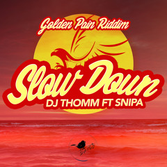 DJ THOMM ft SNIPA - SLOW DOWN (2018)
