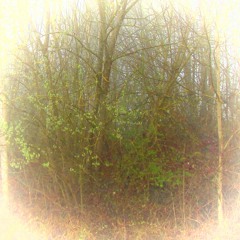 FavTracks 05/18 Ambient & Classic