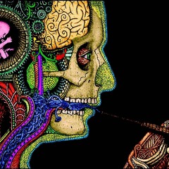 Explore The Mind Set