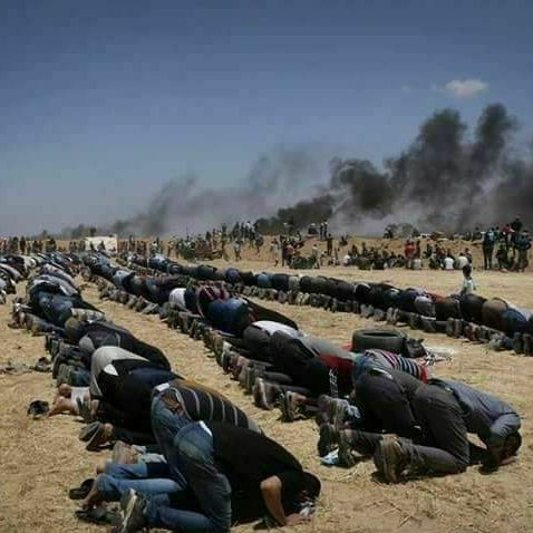سيّدي الشّهِيد... سنُفطِرُ في القُدس| مُعارضة إنشادِيّة لإعلانِ زين