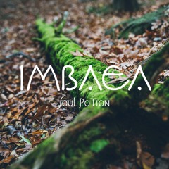 Soul Potion - Imbaea (Original Mix)