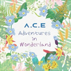 A.C.E ; Take My Higher