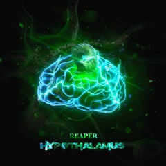 SULFER - HYPOTHALAMUS (FREE DOWNLOAD CLICK "BUY")