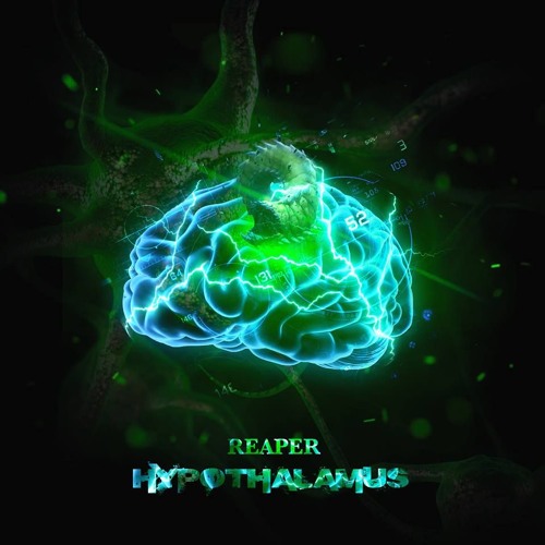 SULFER - HYPOTHALAMUS (FREE DOWNLOAD CLICK "BUY")
