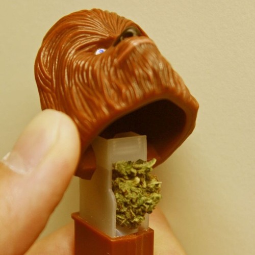 Stream Smokin Weed With Chewbacca by spencer benammar