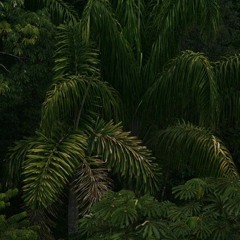 lagoon