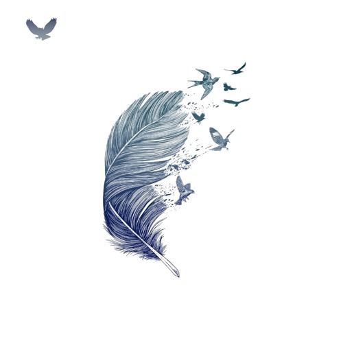 download night owl x download night owl x