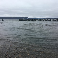 PODCAST: The Hudson River is flowing with pharmaceutical drugs