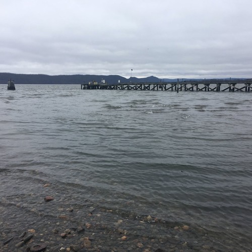 PODCAST: The Hudson River is flowing with pharmaceutical drugs