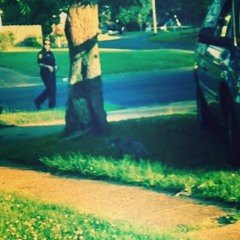 trees need everything (demo)