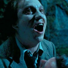 Hal Talks Monsters: Remus Lupin, Werewolves and HIV in Harry Potter