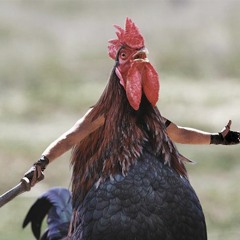 Animu memes and loud noises