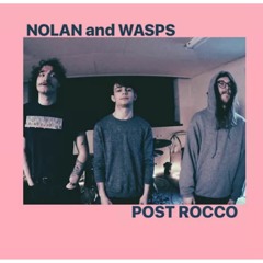 NOLAN & WASPS - POST ROCCO