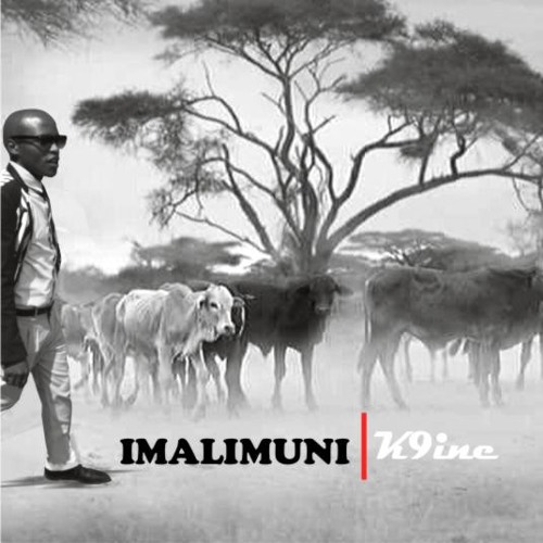 Imalimuni By K9