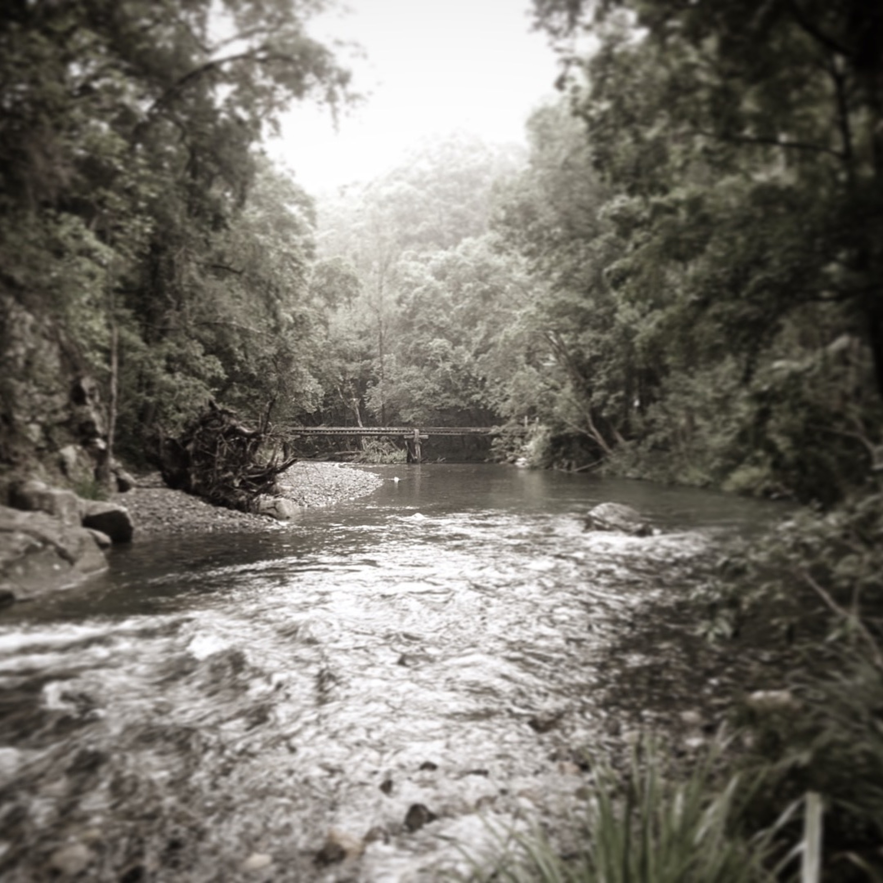 UpRiver episode artwork