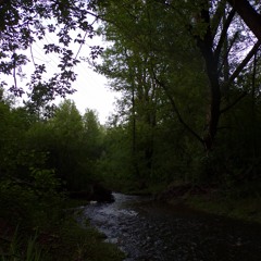 Wilting Love - Ambient LoFi with Rain