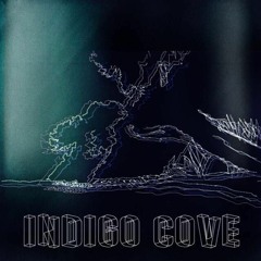 Indigo Cove | Wonderland