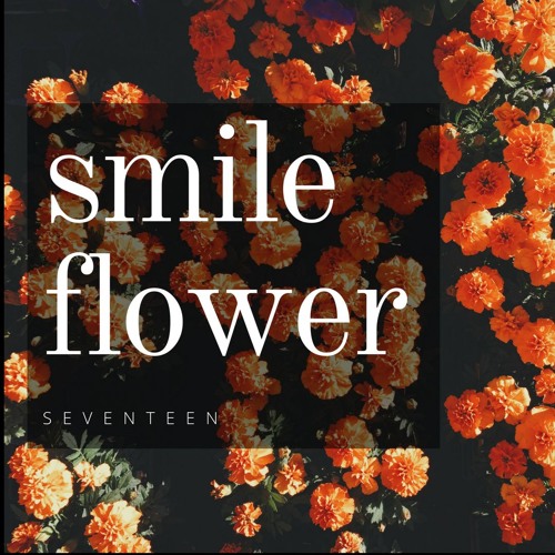 Stream Seventeen Smile Flower Song Cover By Ibit Listen Online For Free On Soundcloud