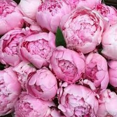 Алина Орлова - Люби Меня, Люби