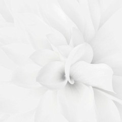 JunisO1.8