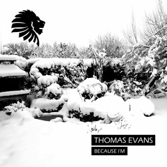 Thomas Evans - Mind And Soul