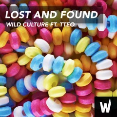 Wild Culture ft. TTeo  - Lost and Found