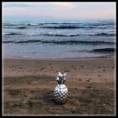 MI PLAYA SELECTA!!! Vol.3 By Sebastien Alegr