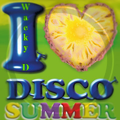 Wacky D - What A Fucking Disco Summer!