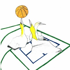 bb brownstone - Courts